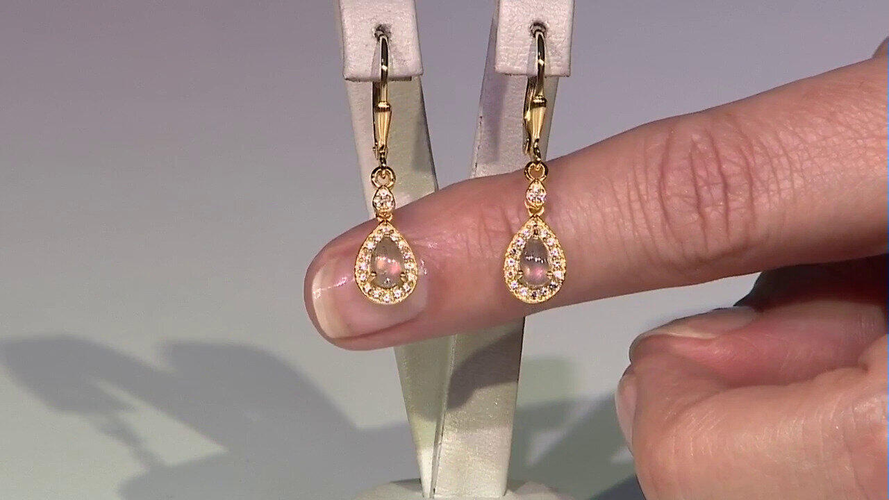 Laatste live aanbiedingen bekijken