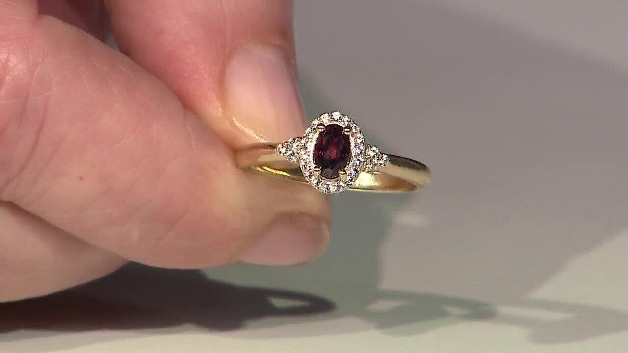 Ver última TV oferta