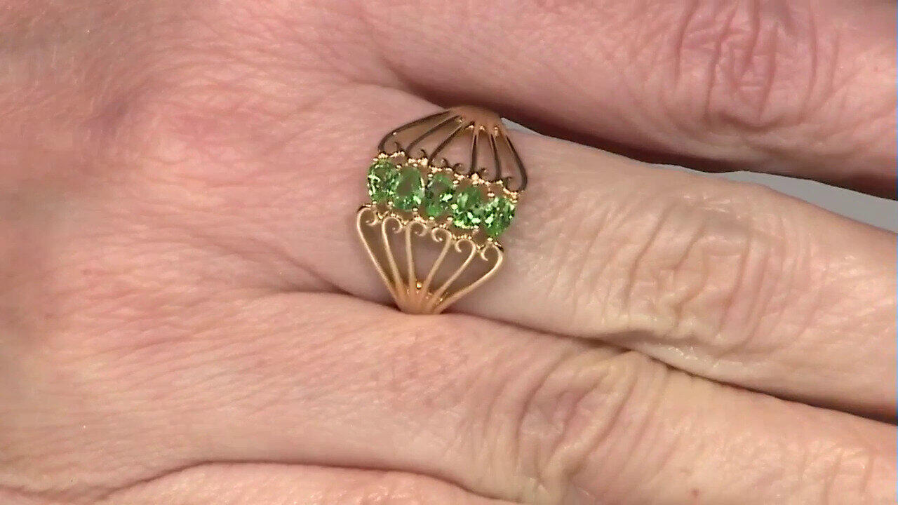 Letzte TV-Show ansehen