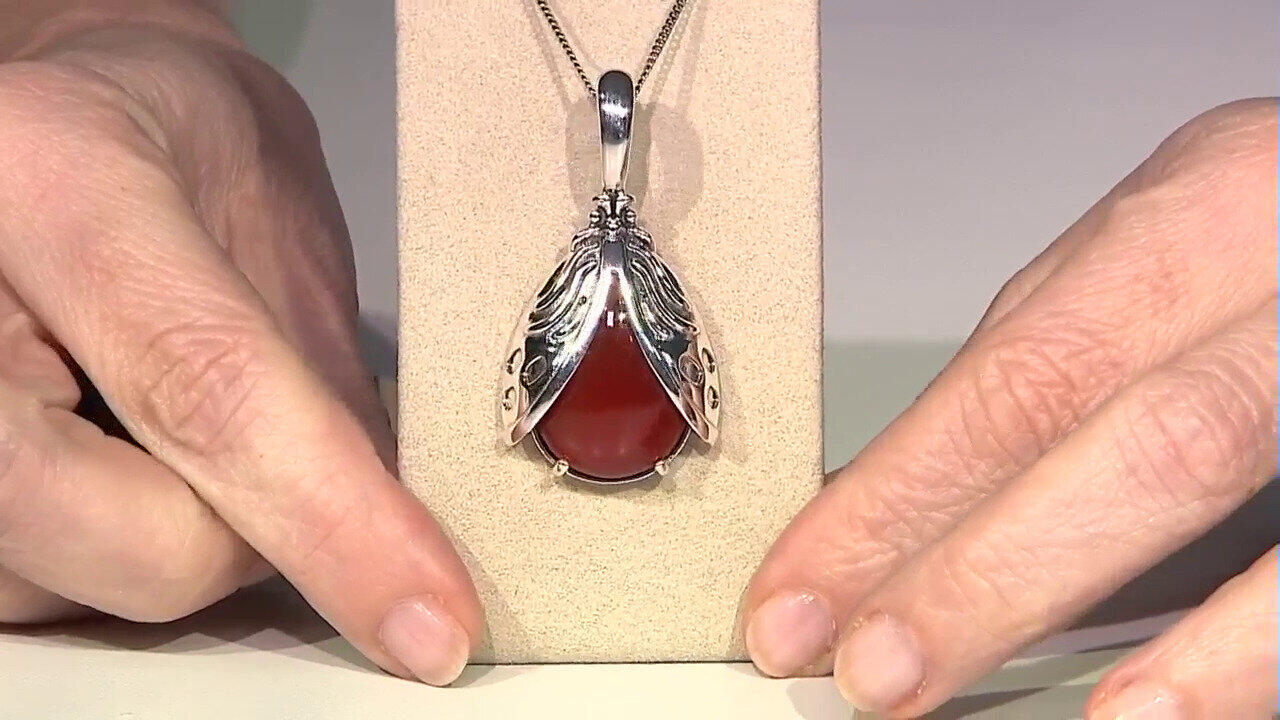 Video Zilveren hanger met een Rode onyx (Desert Chic)