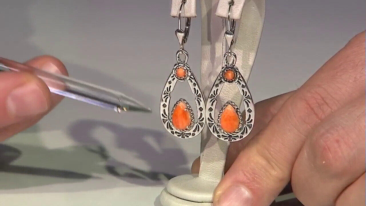 Laatste live aanbiedingen bekijken