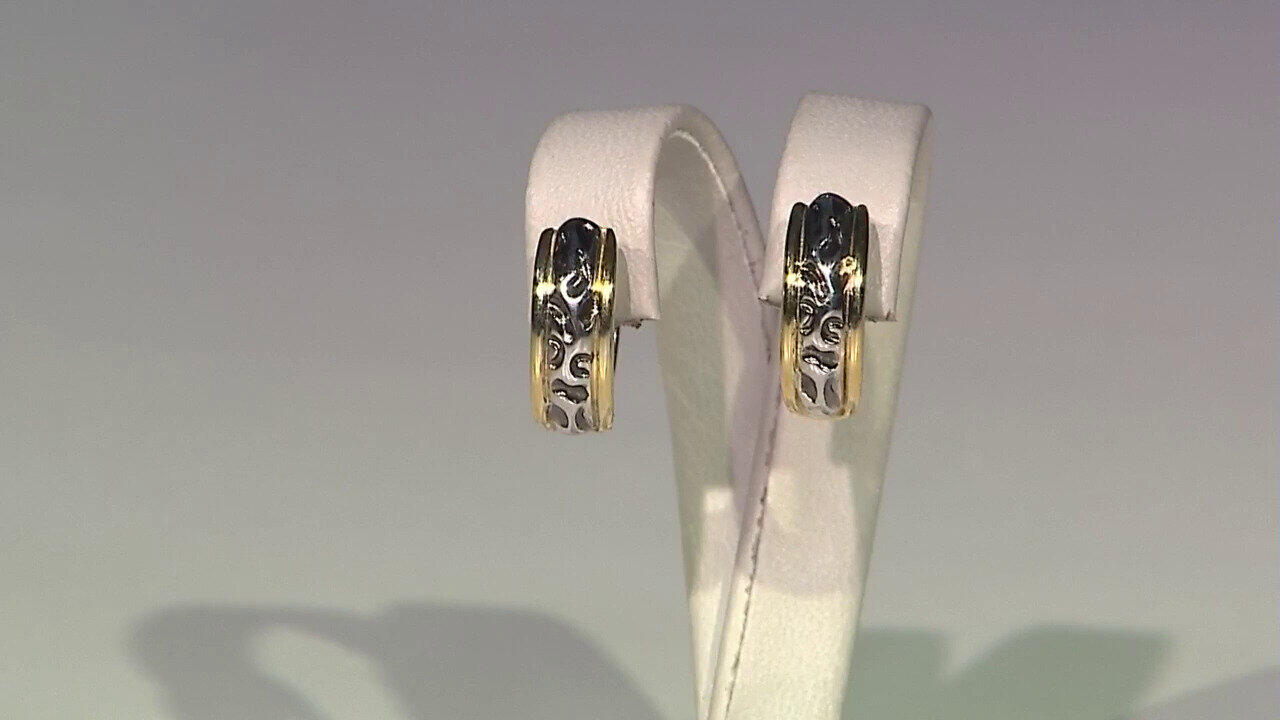 Video Orecchini in argento con Zircone (Remy Rotenier)