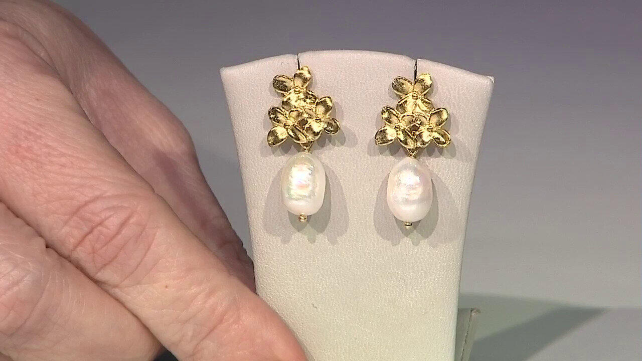 Letzte TV-Show ansehen