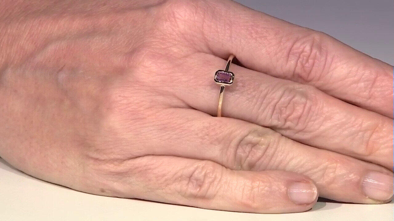 Letzte TV-Show ansehen