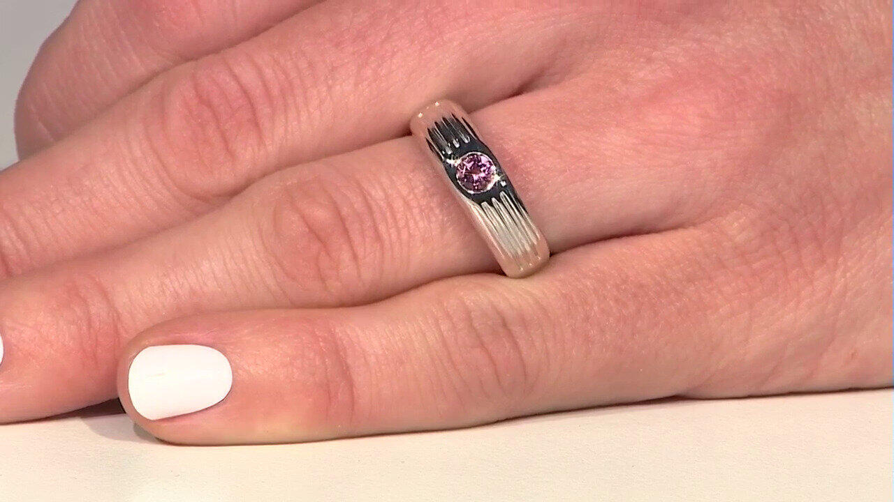 Letzte TV-Show ansehen