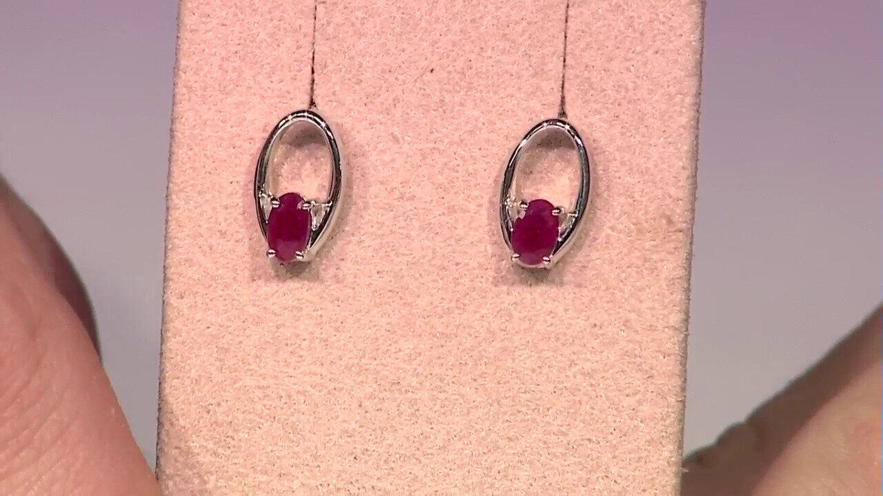 Laatste live aanbiedingen bekijken