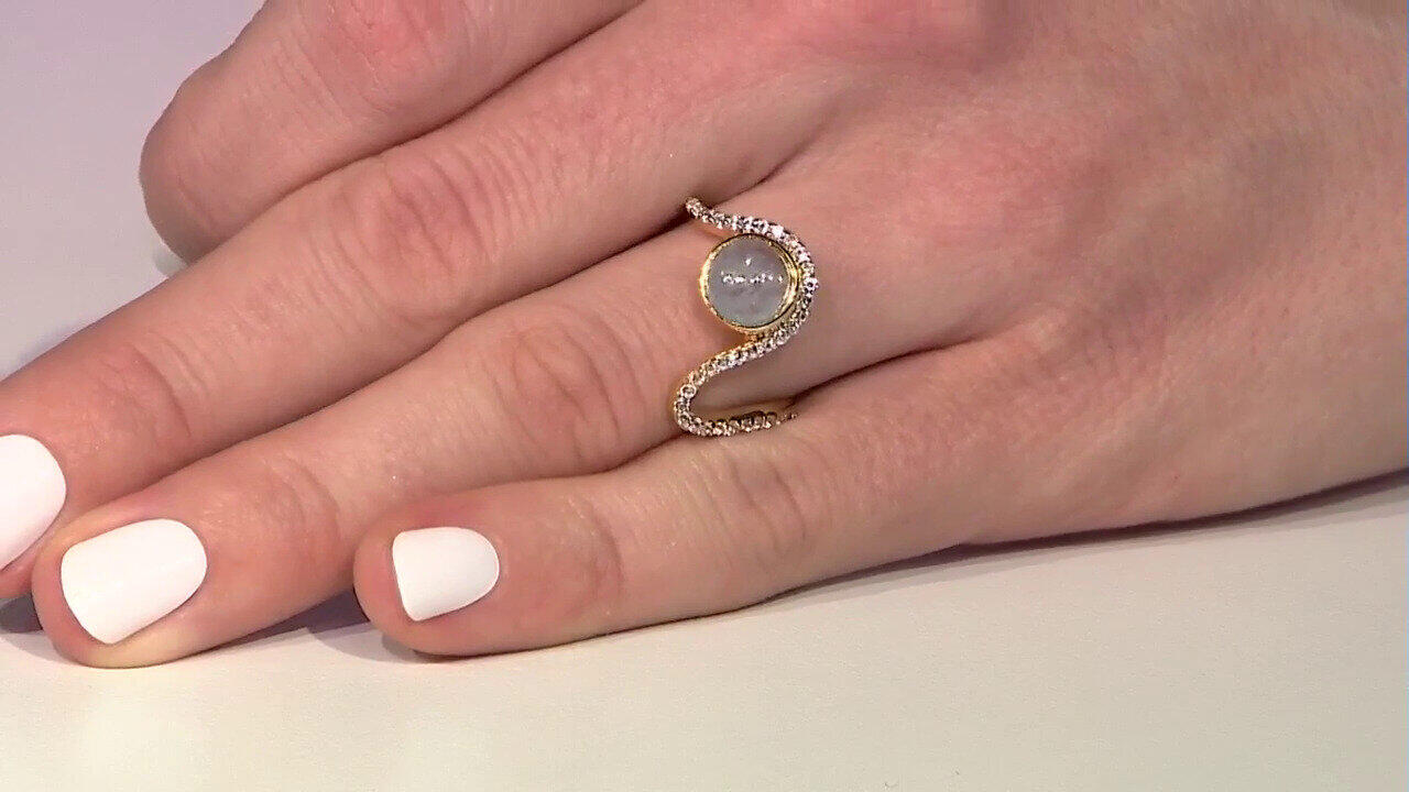 Letzte TV-Show ansehen