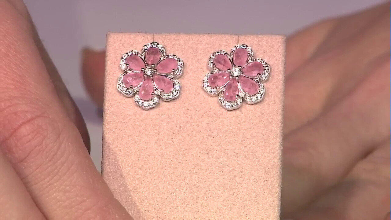 Ver última TV oferta