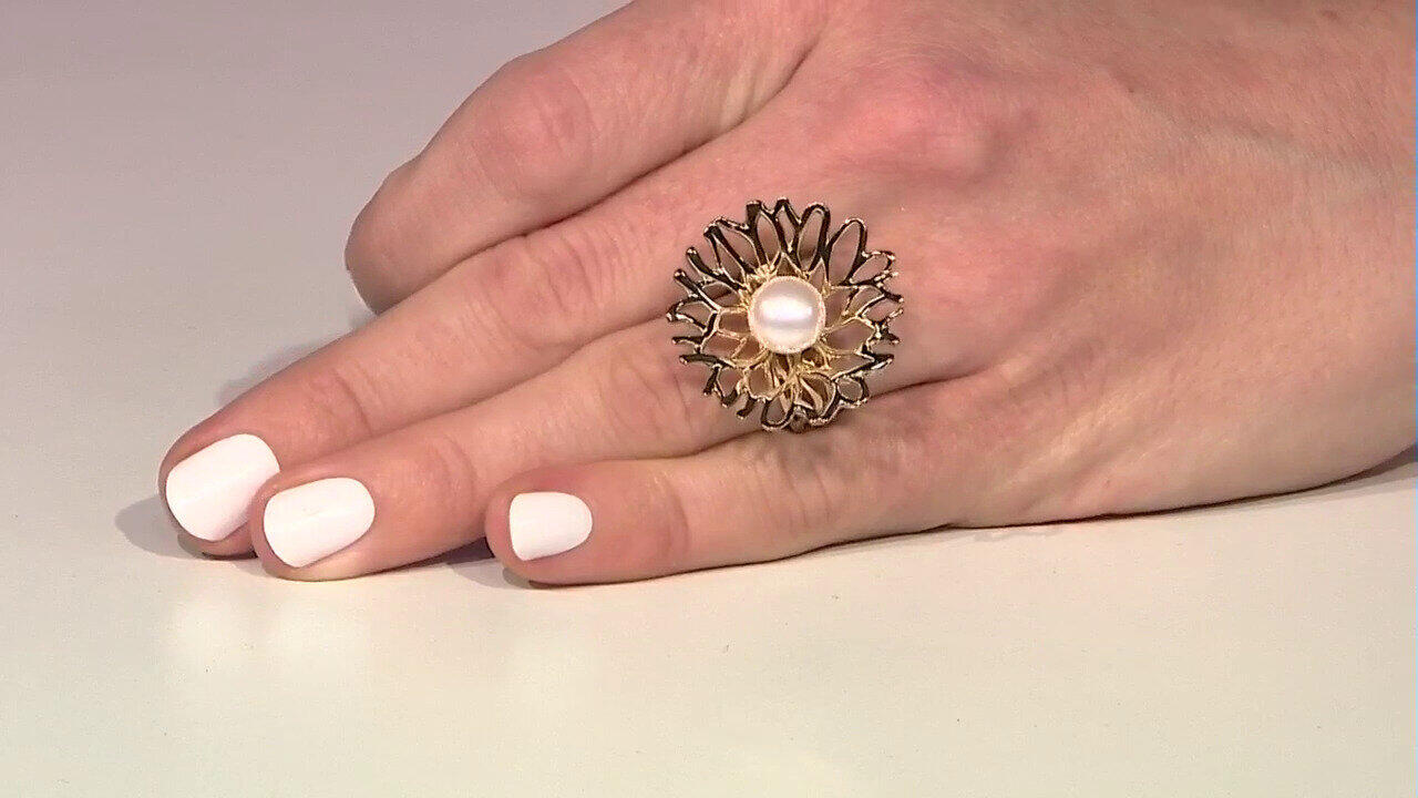 Laatste live aanbiedingen bekijken