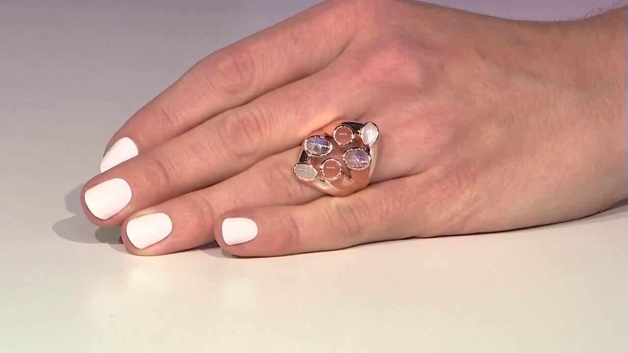 Laatste live aanbiedingen bekijken