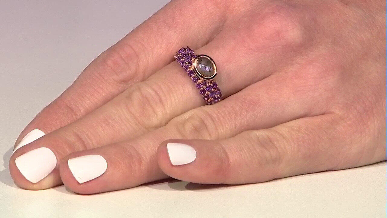 Laatste live aanbiedingen bekijken