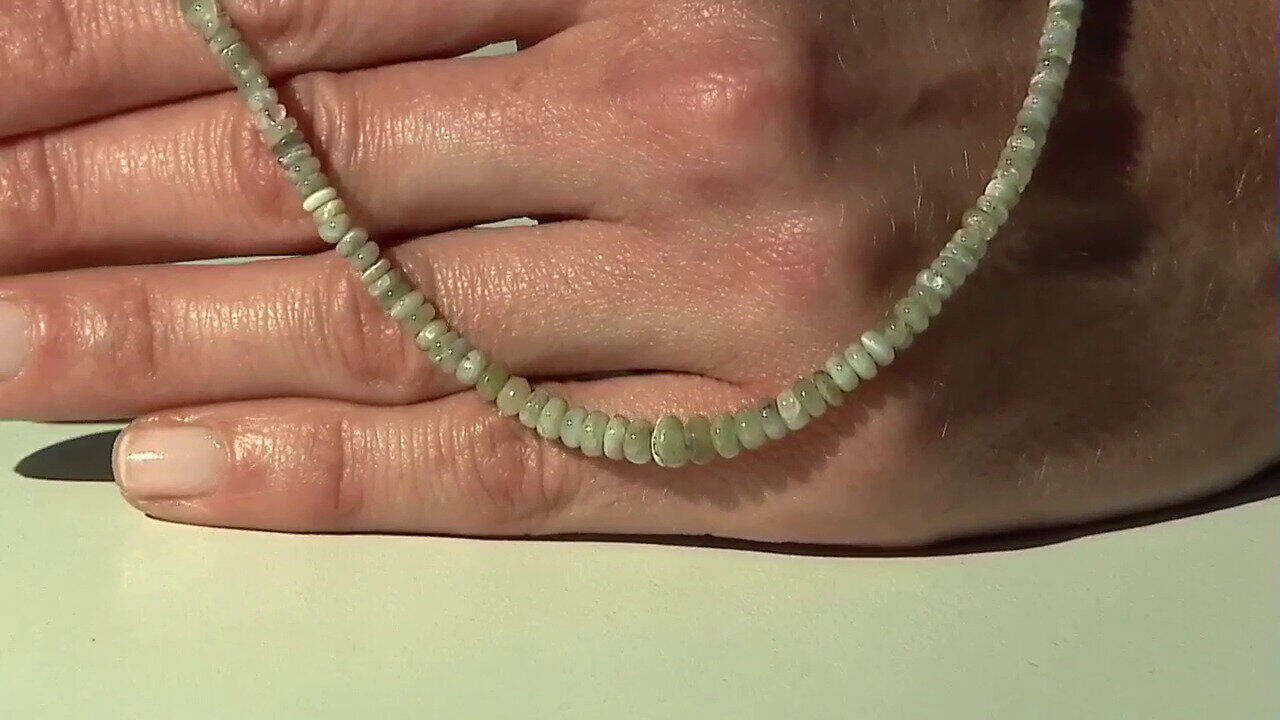 Letzte TV-Show ansehen