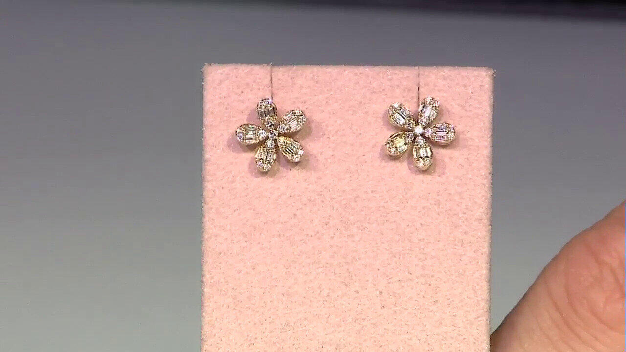 Letzte TV-Show ansehen