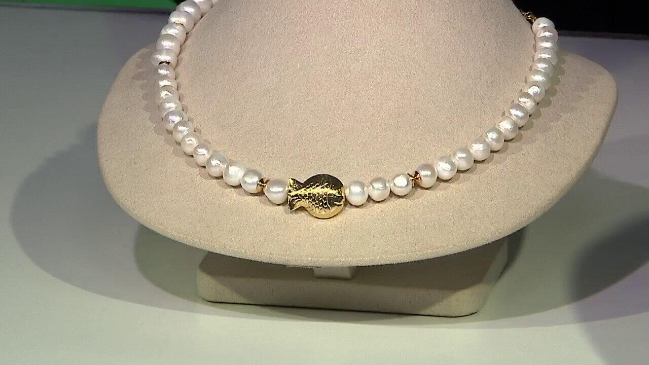 Letzte TV-Show ansehen