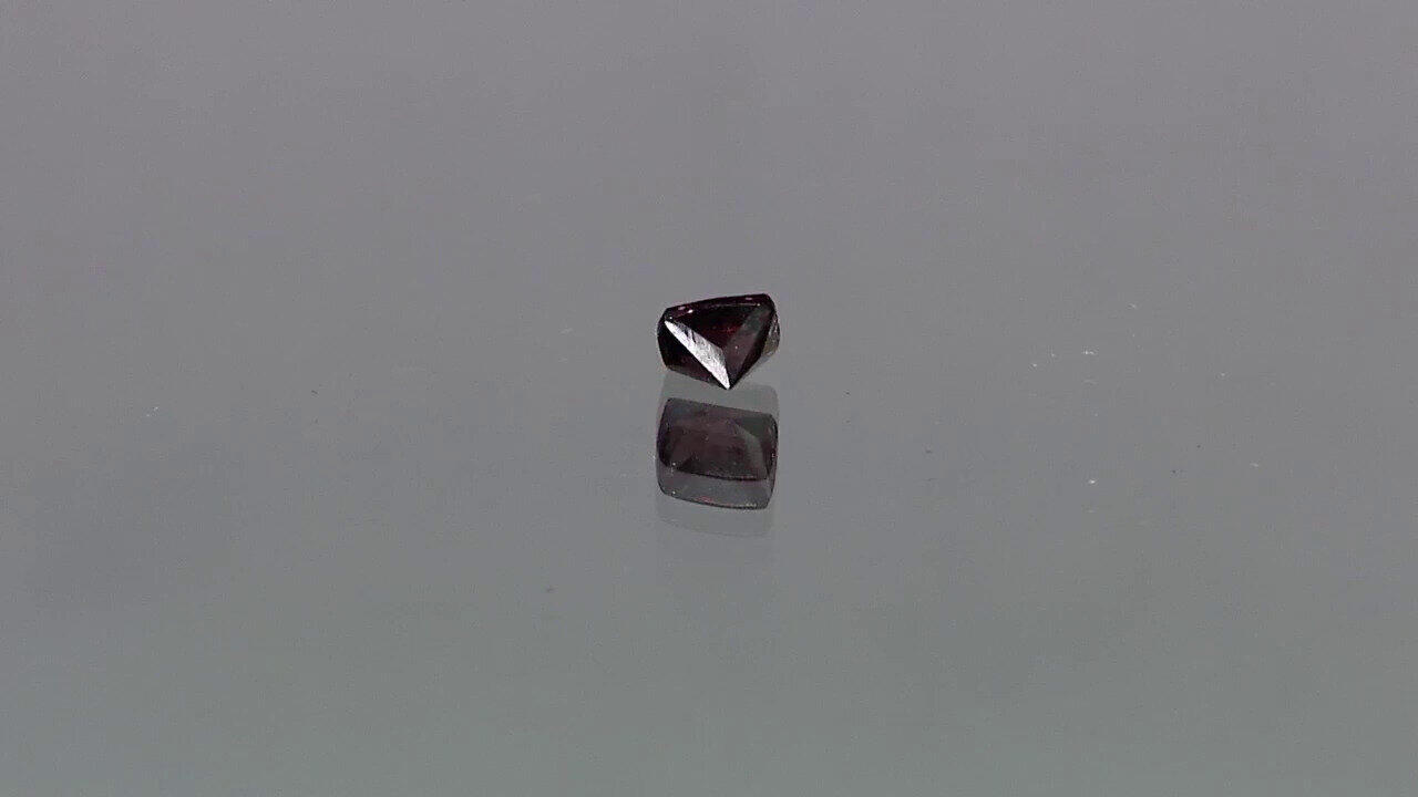 Letzte TV-Show ansehen