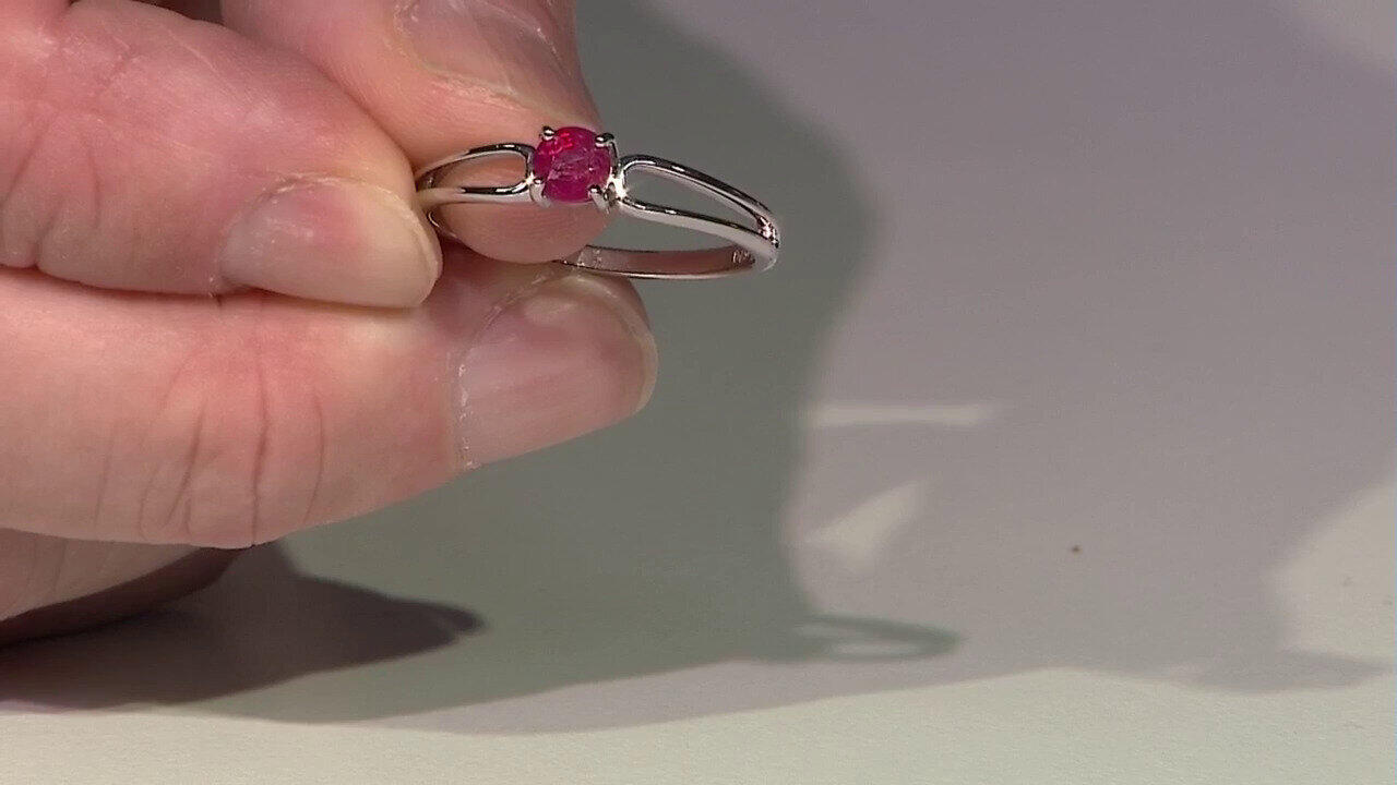 Letzte TV-Show ansehen