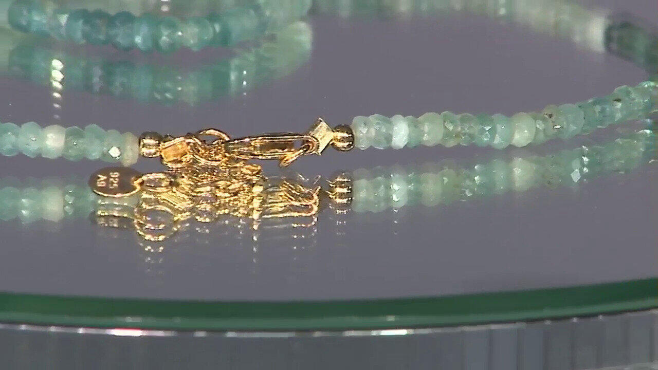 Letzte TV-Show ansehen