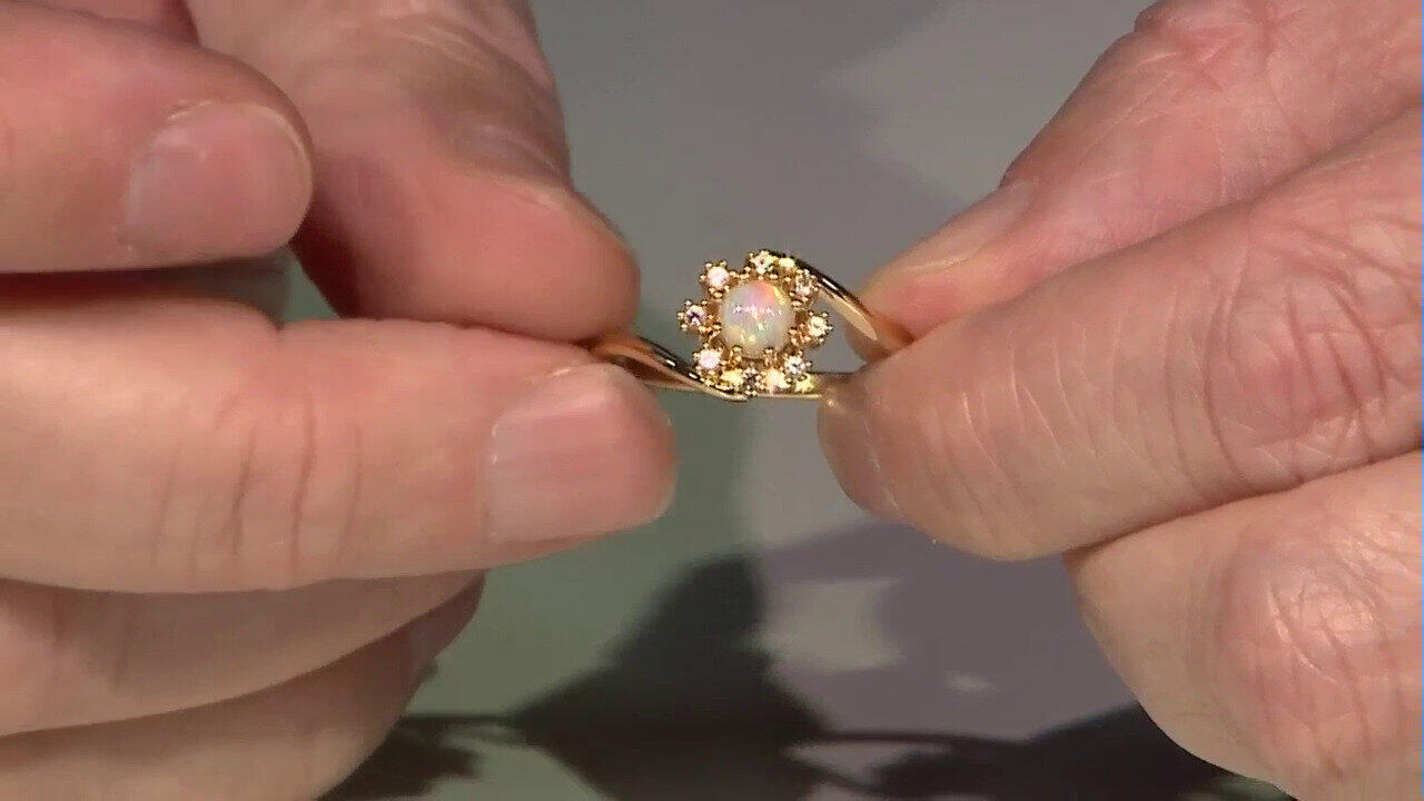 Letzte TV-Show ansehen