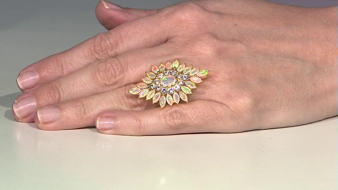 Laatste live aanbiedingen bekijken