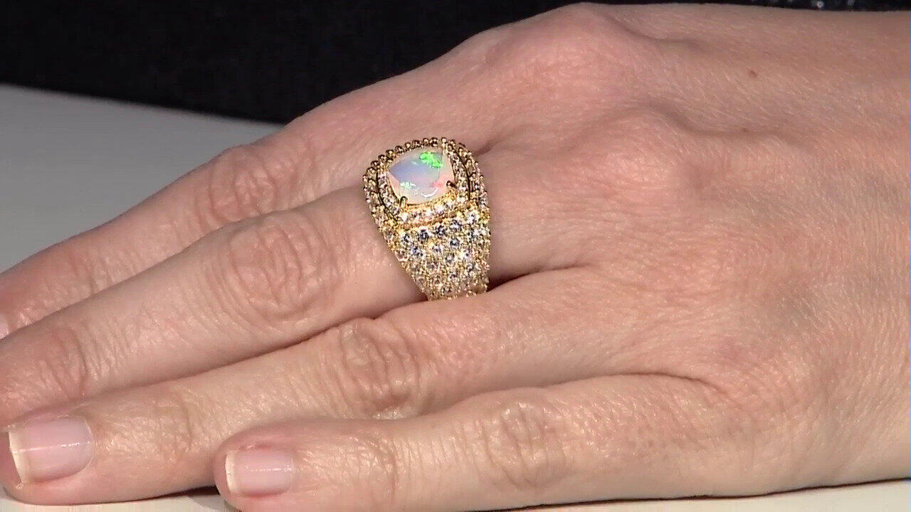 Laatste live aanbiedingen bekijken