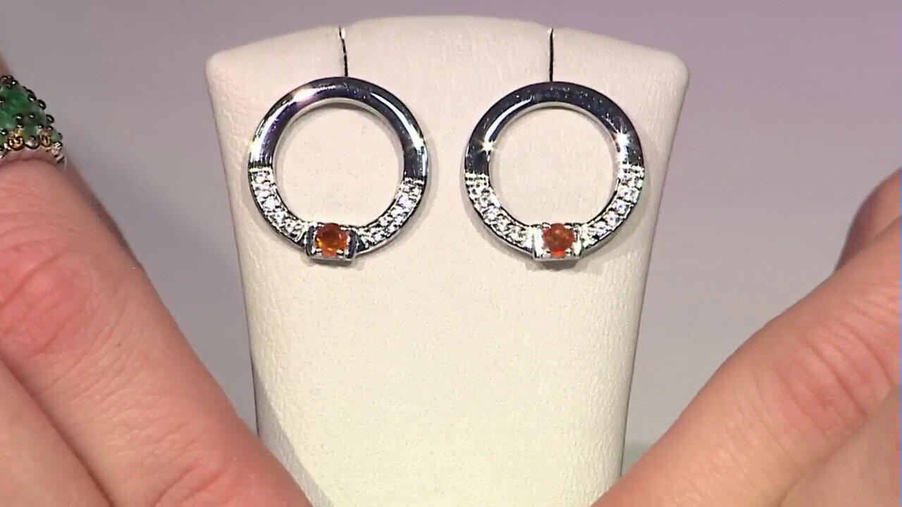 Letzte TV-Show ansehen