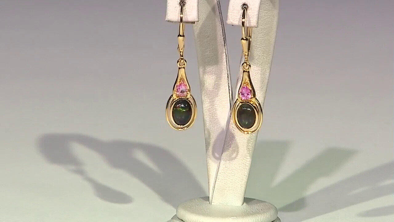 Laatste live aanbiedingen bekijken