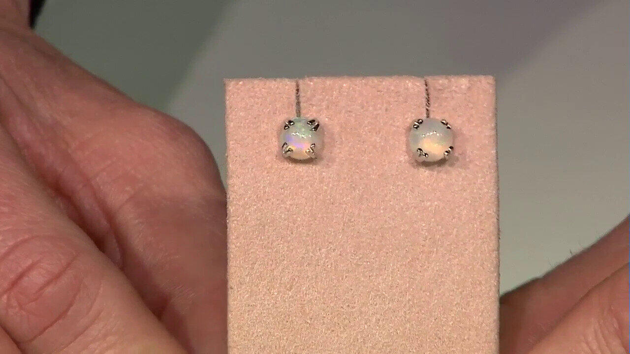 Letzte TV-Show ansehen