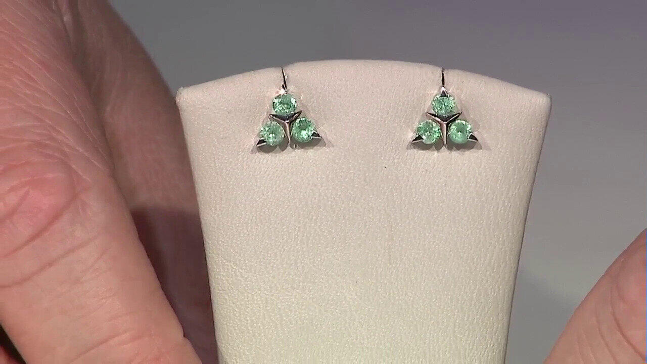 Letzte TV-Show ansehen