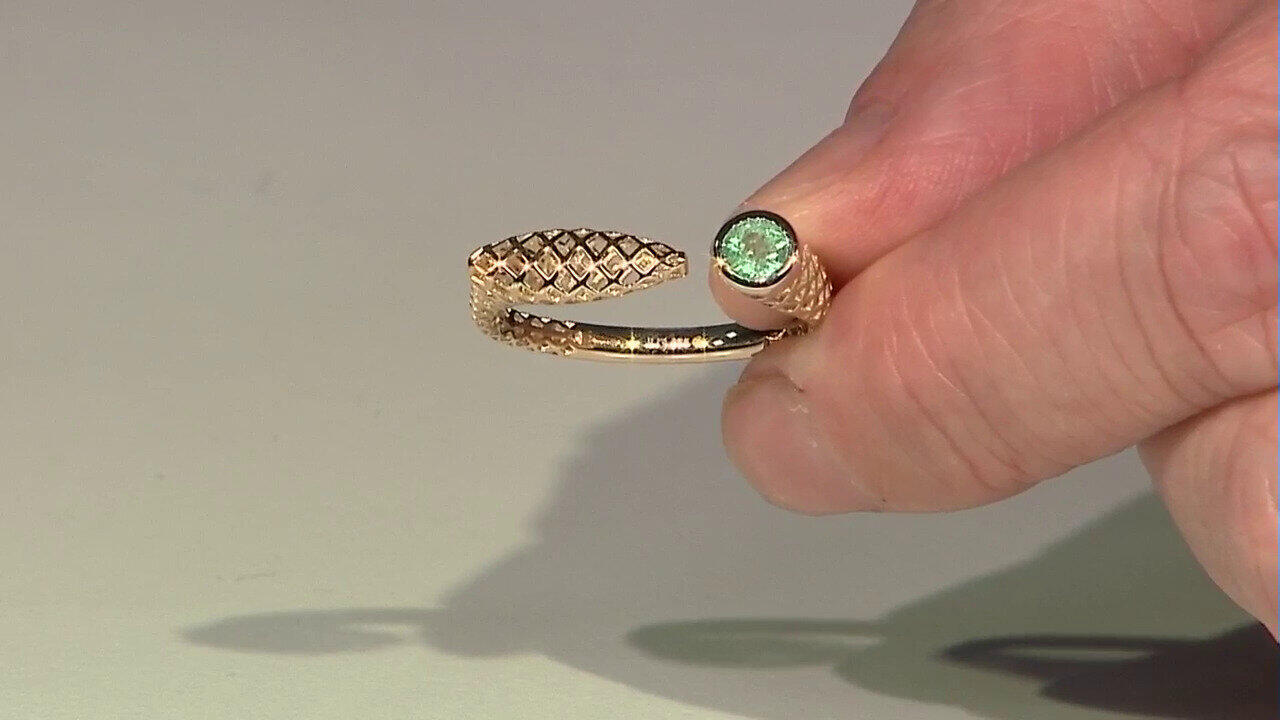 Voir l’enchère du bijou