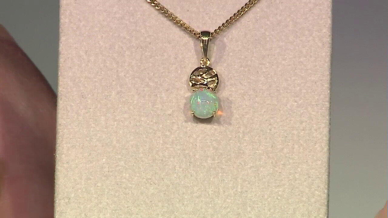 Letzte TV-Show ansehen