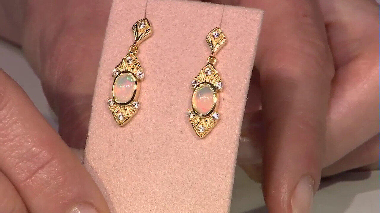 Laatste live aanbiedingen bekijken