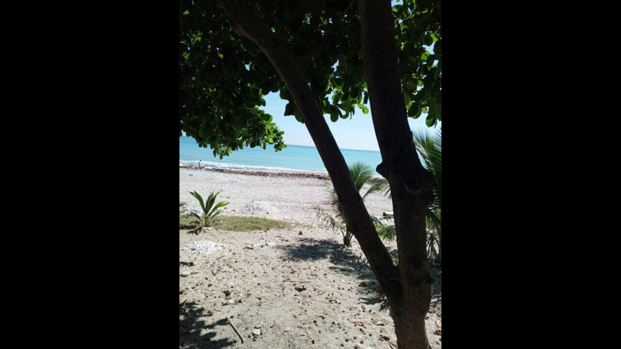 Voir l’enchère du bijou