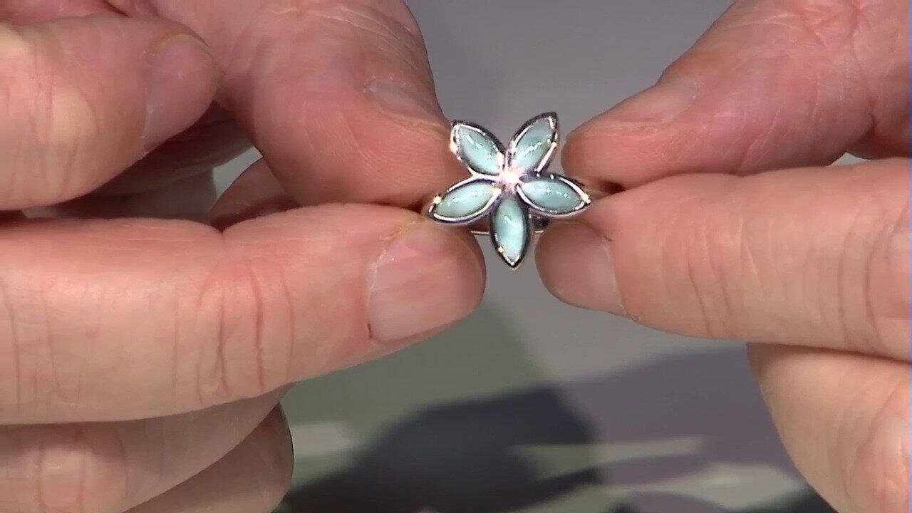 Laatste live aanbiedingen bekijken