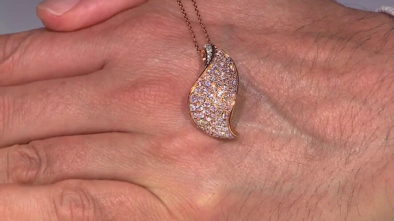 Letzte TV-Show ansehen