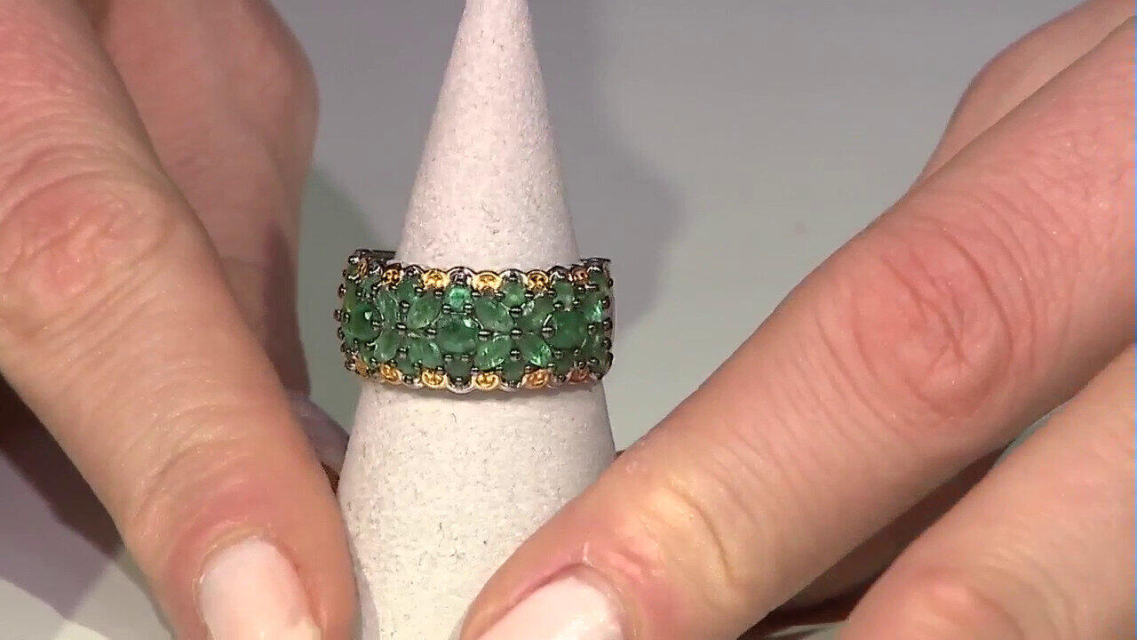 Letzte TV-Show ansehen