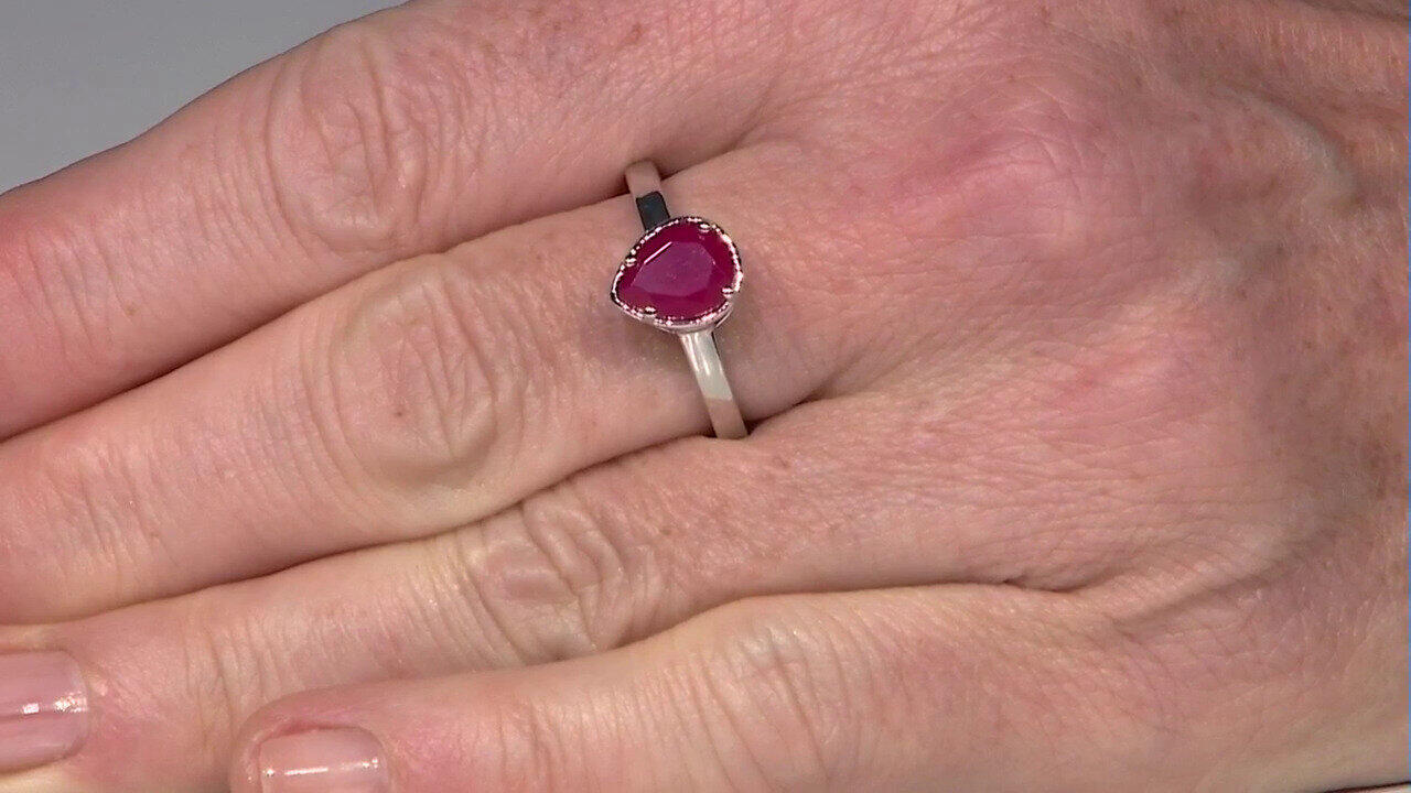 Letzte TV-Show ansehen