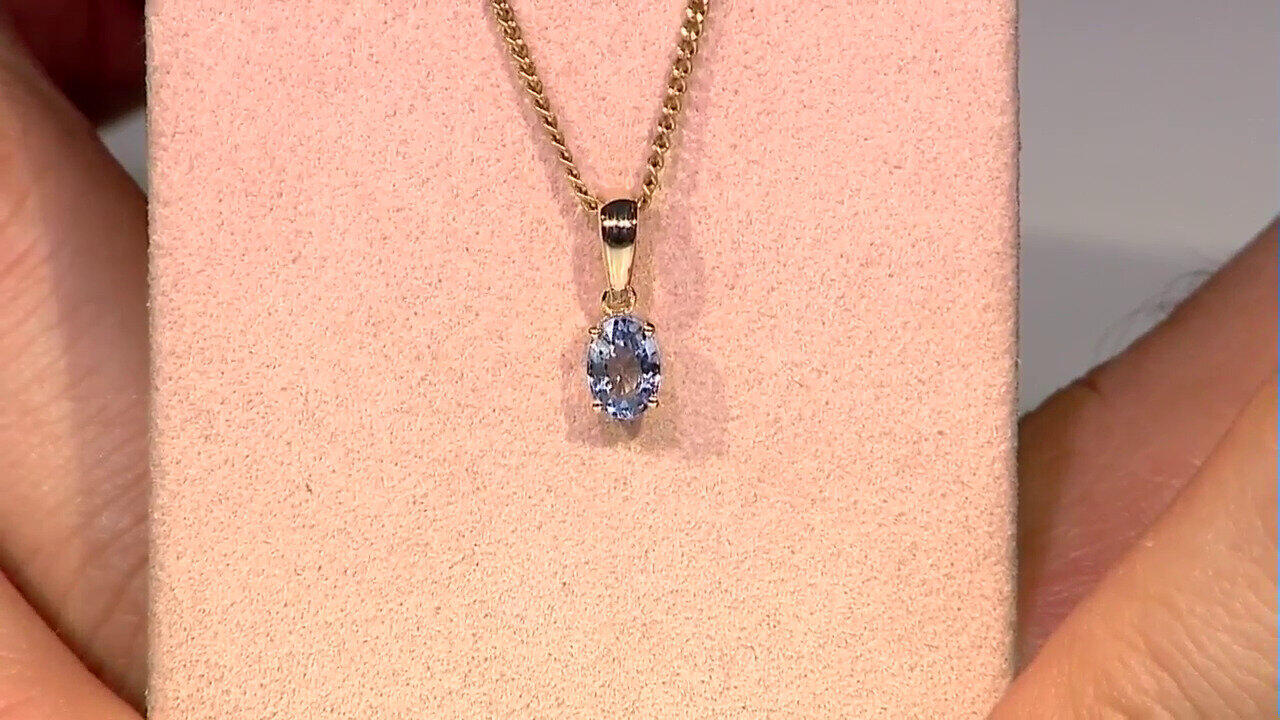 Letzte TV-Show ansehen