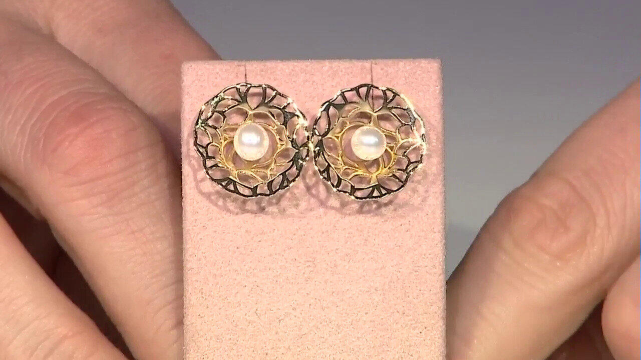 Laatste live aanbiedingen bekijken