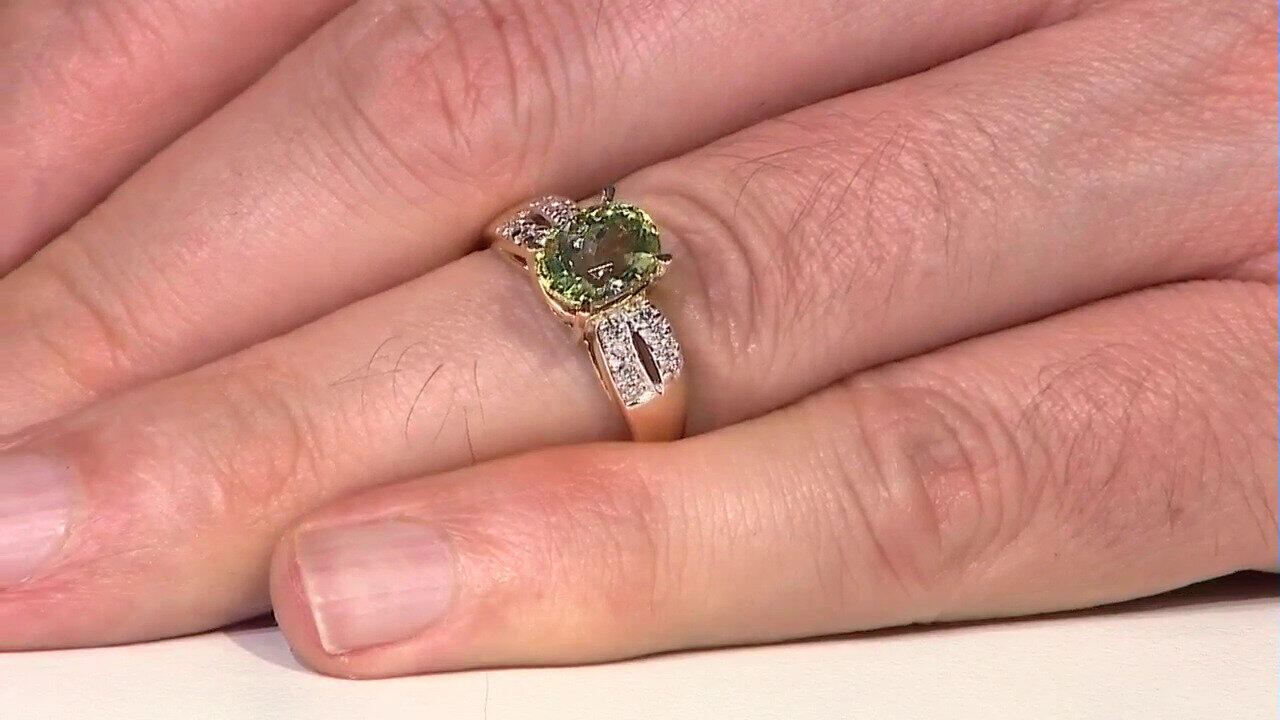 Letzte TV-Show ansehen