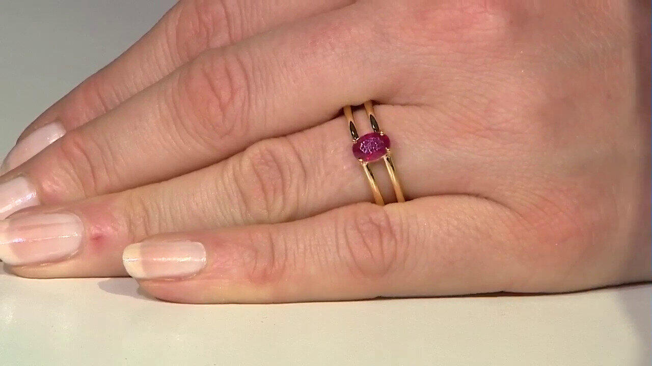 Letzte TV-Show ansehen