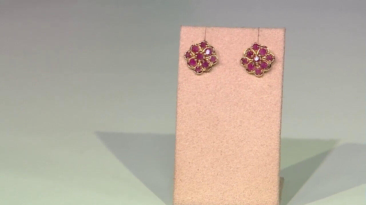 Letzte TV-Show ansehen