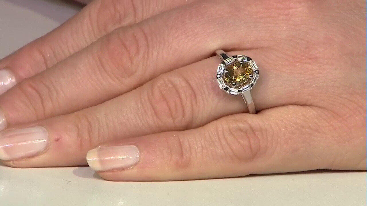 Letzte TV-Show ansehen