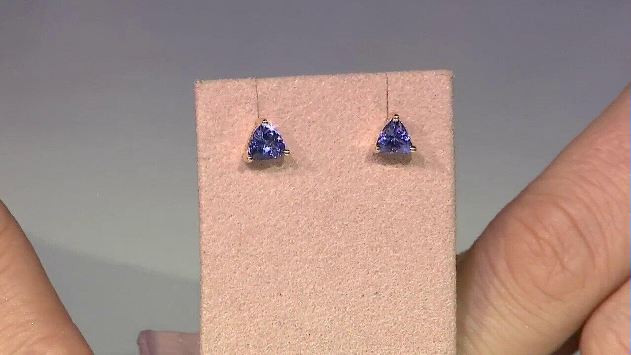 Laatste live aanbiedingen bekijken