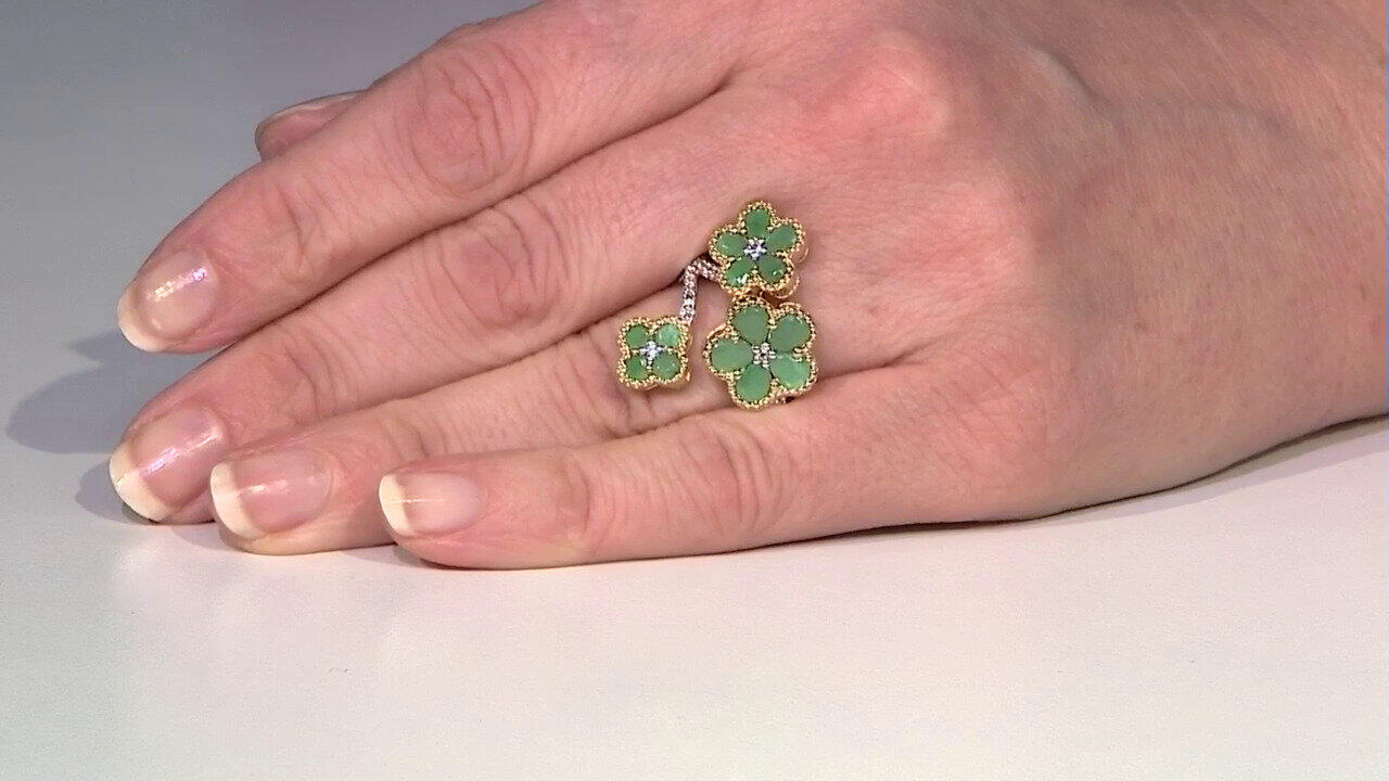 Letzte TV-Show ansehen