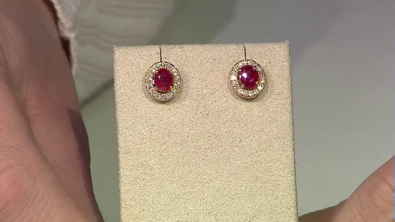 Ver última TV oferta