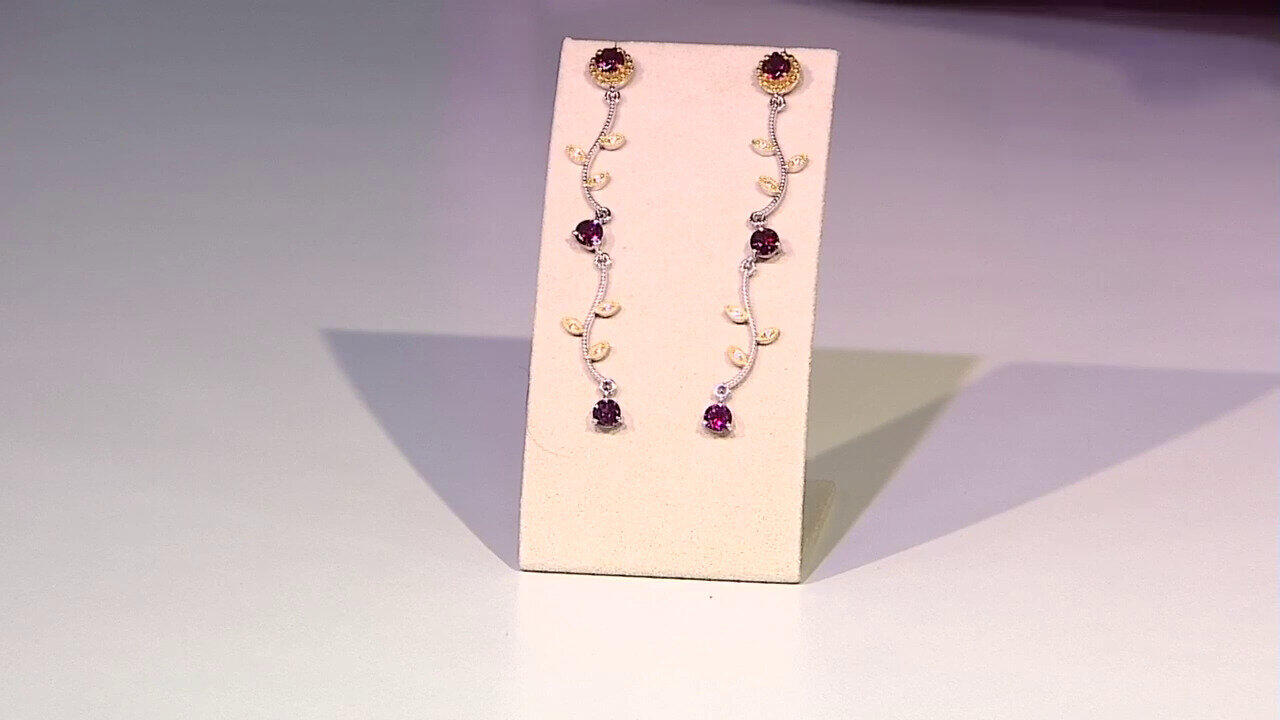 Laatste live aanbiedingen bekijken