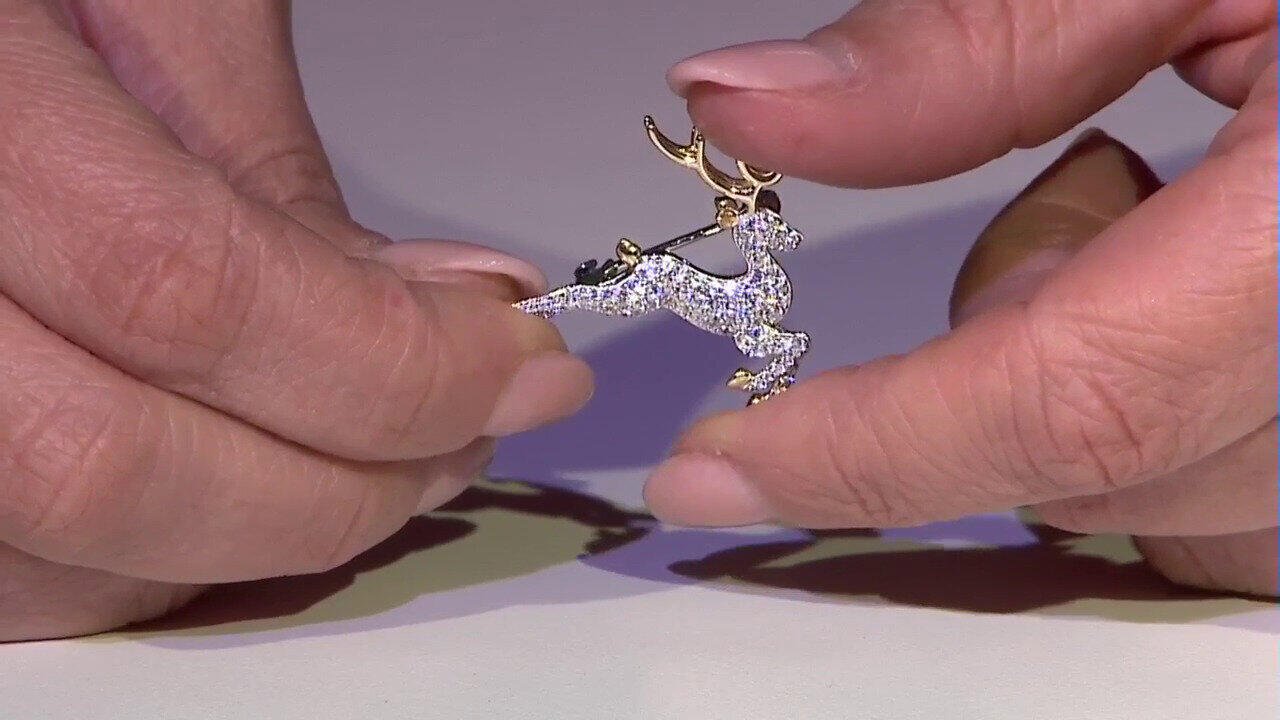 Letzte TV-Show ansehen