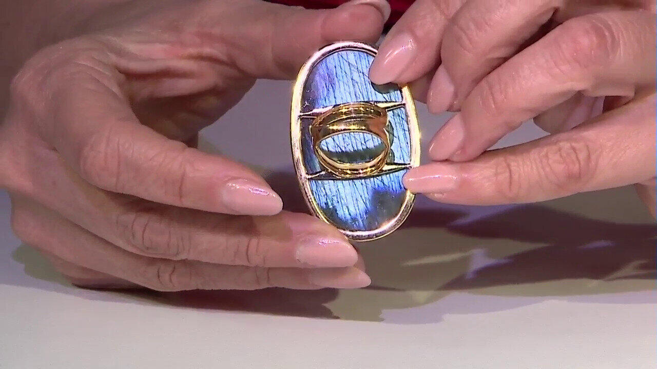 Letzte TV-Show ansehen