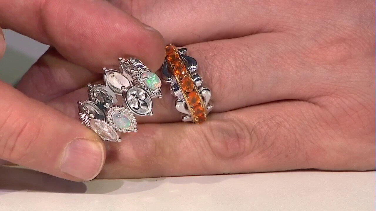 Laatste live aanbiedingen bekijken