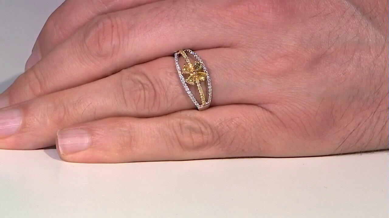 Letzte TV-Show ansehen